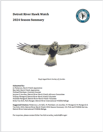 Cover image of the Detroit River Hawk Watch  2024 season summary